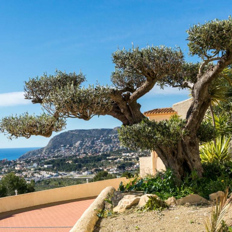 Villa Aguila - Calp - Villa con piscina privada - 4