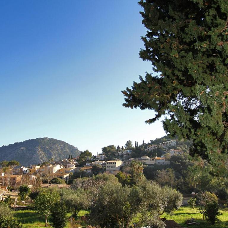 Villa Antigua - Villa con piscina privada - 47