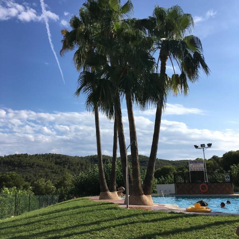 Apartamento dos Terrazas, Vistas al Mar. Piscina - Apartamento de 2 dormitorios - 37