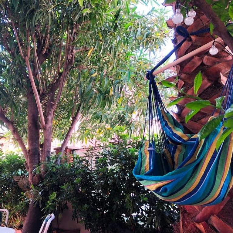 Cri's Beach & Garden - San Benedetto del Tronto - Appartamento con 1 Camera da Letto - 44