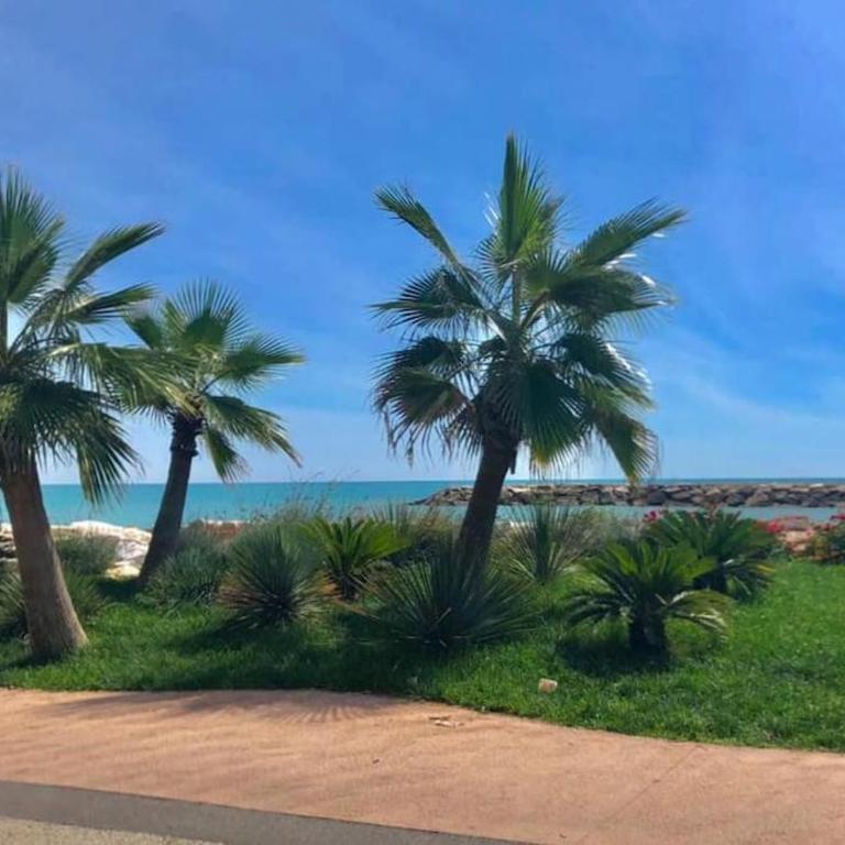 Cri's Beach & Garden - San Benedetto del Tronto - Appartamento con 1 Camera da Letto - 18