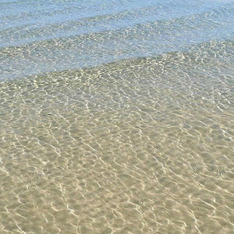 Cri's Beach & Garden - San Benedetto del Tronto - Appartamento con 1 Camera da Letto - 17