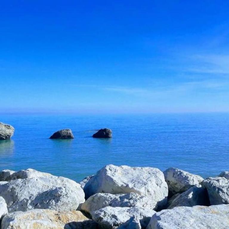 Cri's Beach & Garden - San Benedetto del Tronto - Appartamento con 1 Camera da Letto - 37
