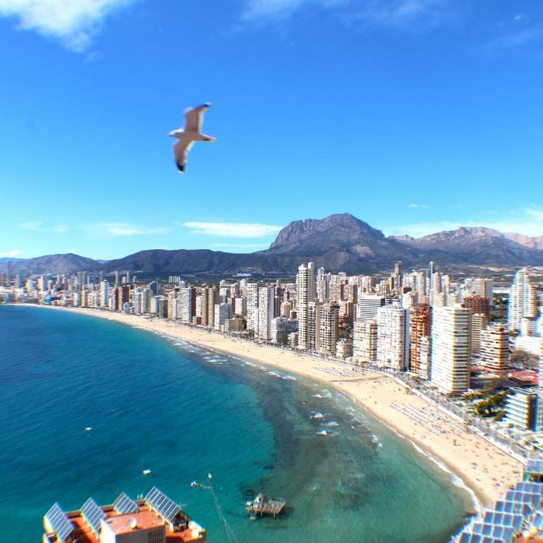 Don Miguel II 18-G Levante Beach - One-Bedroom Apartment - 1