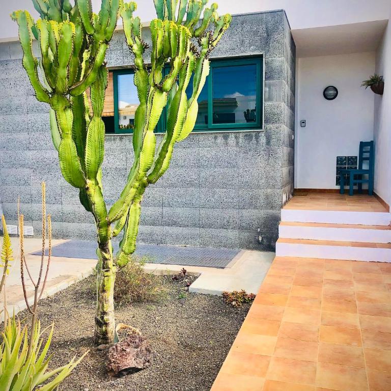 Alegranza, apartamento de 3 habitaciones en Lanzarote - Casa de 3 dormitorios - 20