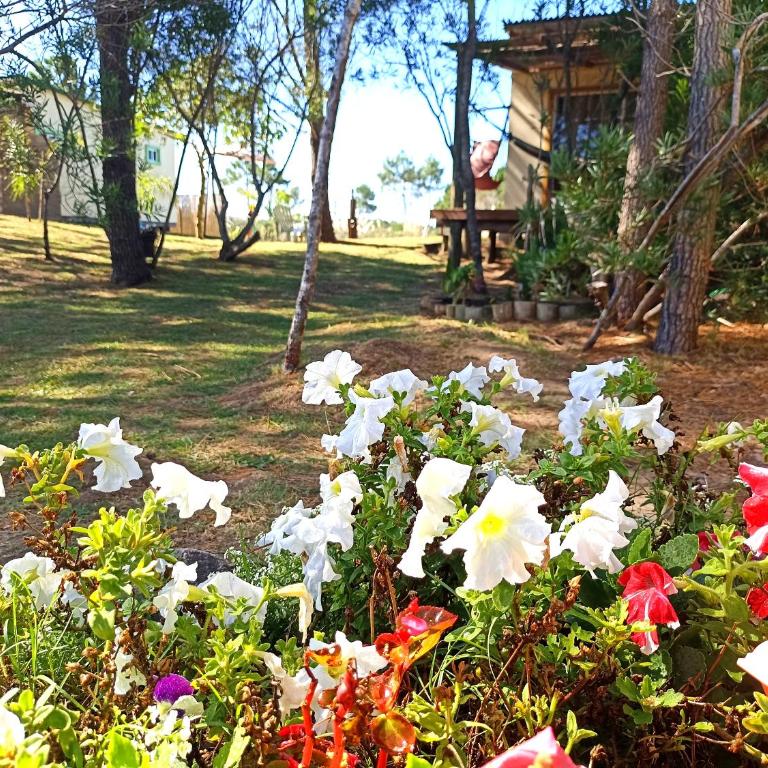 AMORES DEL DIABLO - One-Bedroom House - 15