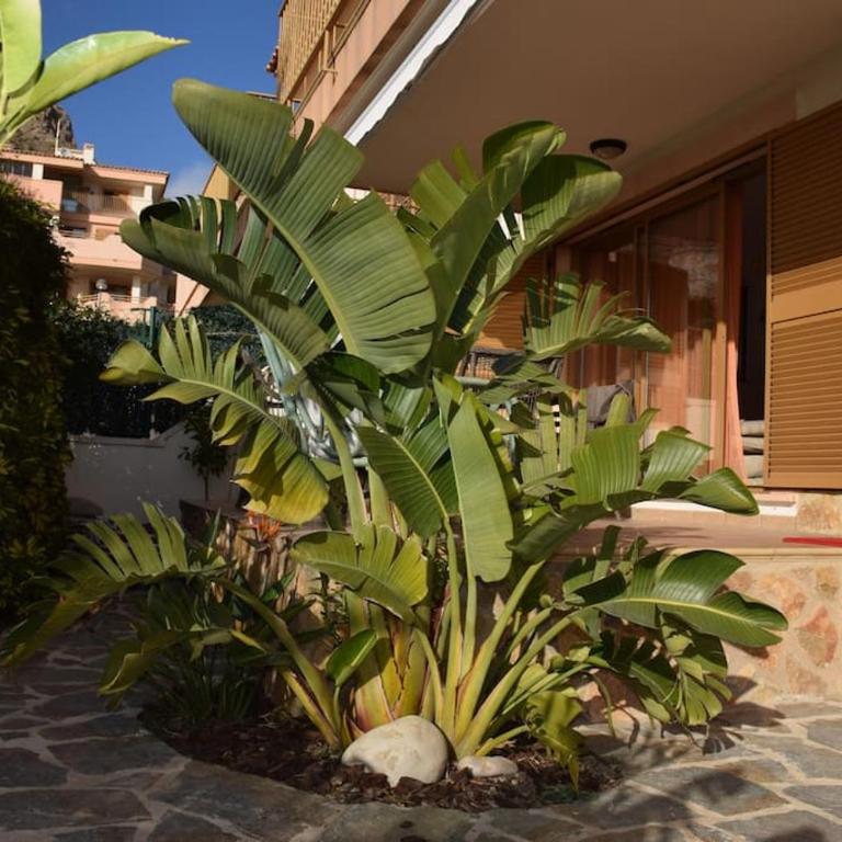 Luxury boutique 1bd apartment w garden - Pet friendly! - Casa con 1 dormitorio - 31