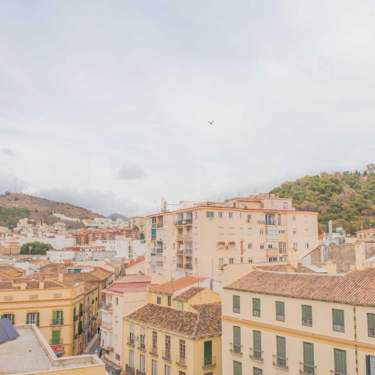 Spacious apartment with a view - historic center by REMS - Apartamento de 2 dormitorios - 32