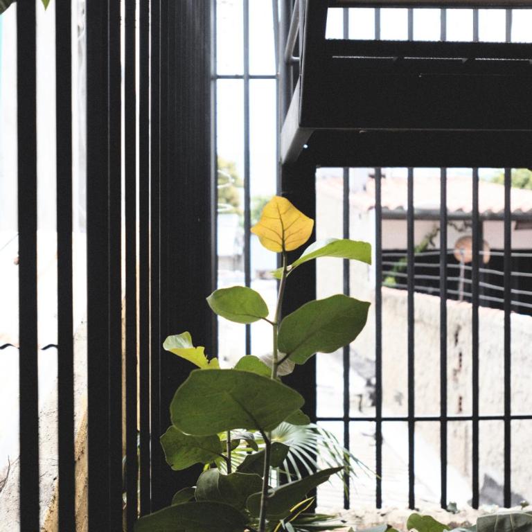 La Casa del Totumo - Casa de 5 dormitorios - 28