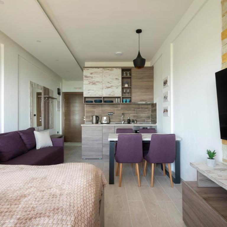 Sunset View Ski & Spa apartments Kopaonik - Studio with Mountain View - 6