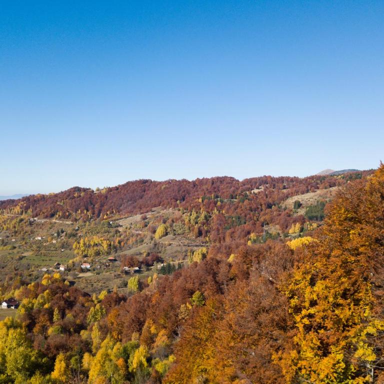 Sunset View Ski & Spa apartments Kopaonik - Studio with Mountain View - 10