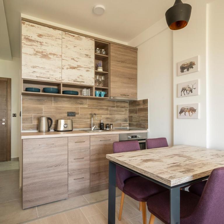 Sunset View Ski & Spa apartments Kopaonik - Studio with Mountain View - 11