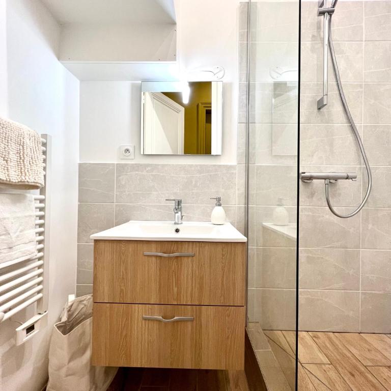 La plume dorée - Hotel de ville - Apartamento con ducha - 22