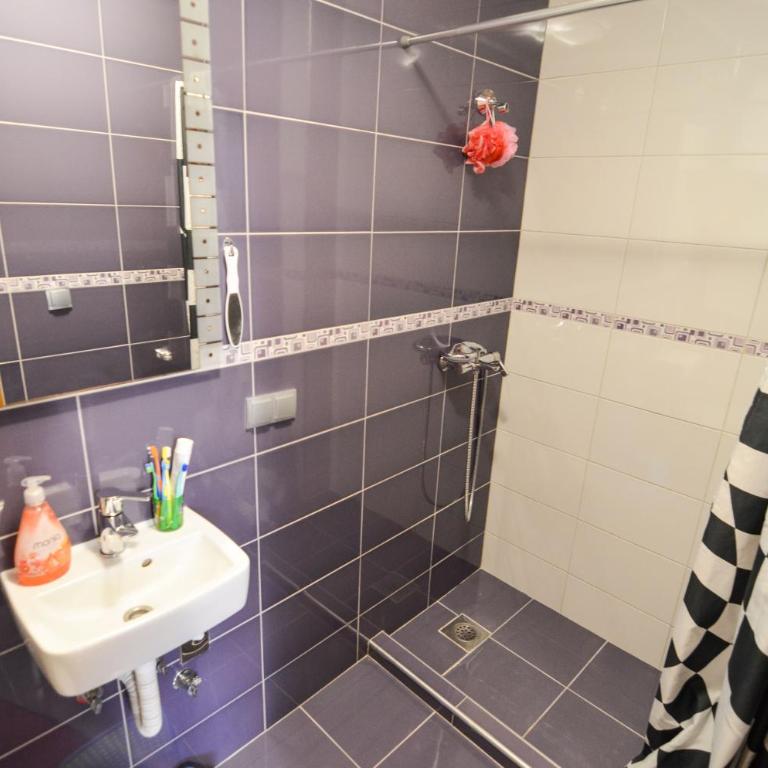 Blacksmith Apartment + Free Private Parking - One-Bedroom Apartment - 12