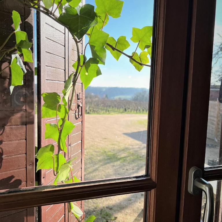 Studio Vigneron, 3min du Zoo - One-Bedroom Apartment - 11
