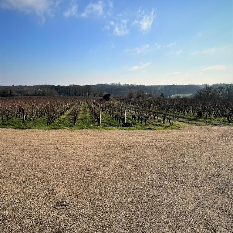 Studio Vigneron, 3min du Zoo - One-Bedroom Apartment - 14