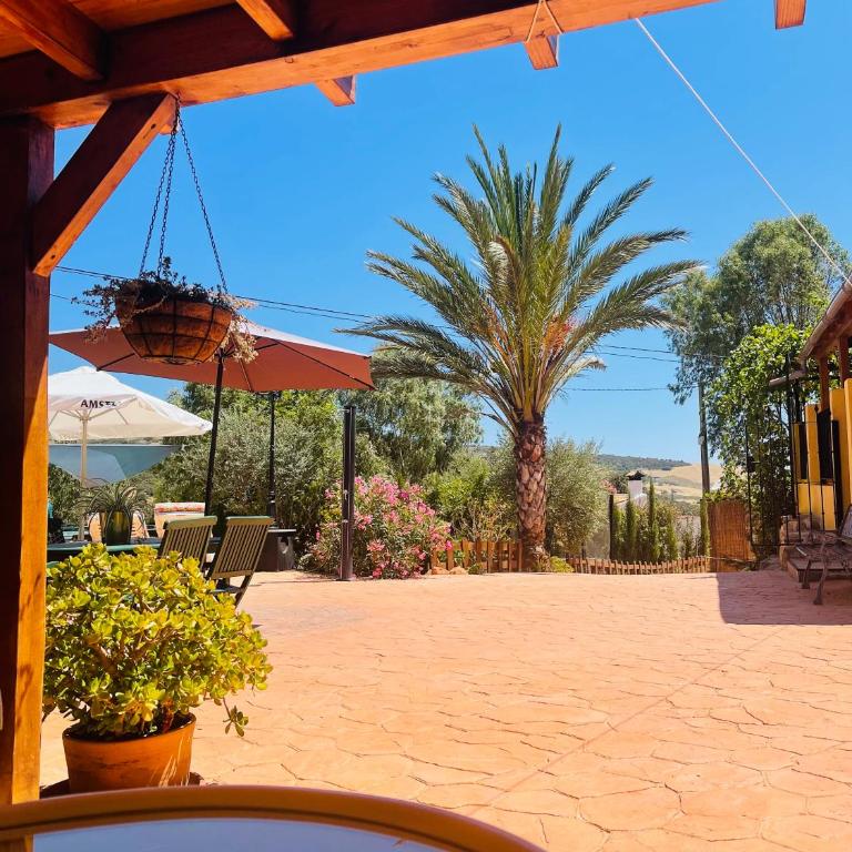 Cortijo el Alcornocal - Chalet - 25