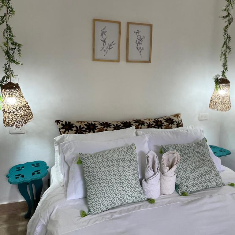 Cabañas Valle del Cocora La Truchera - Chalet de 1 dormitorio - 3