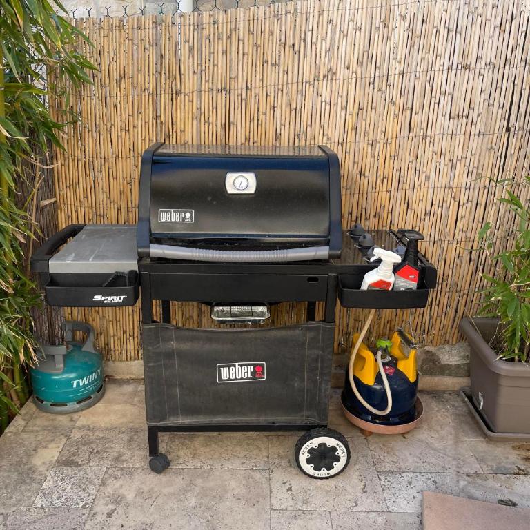 Maison terrasse barbecue en rez de chaussée - Two-Bedroom Apartment - 13