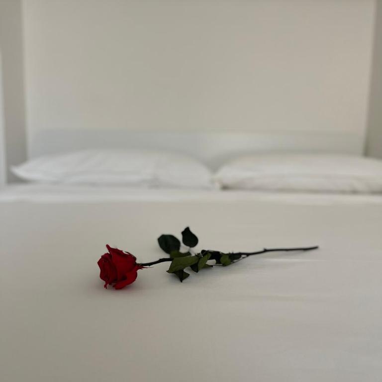 A casa di Arianna - Appartamento con 1 Camera da Letto - 7