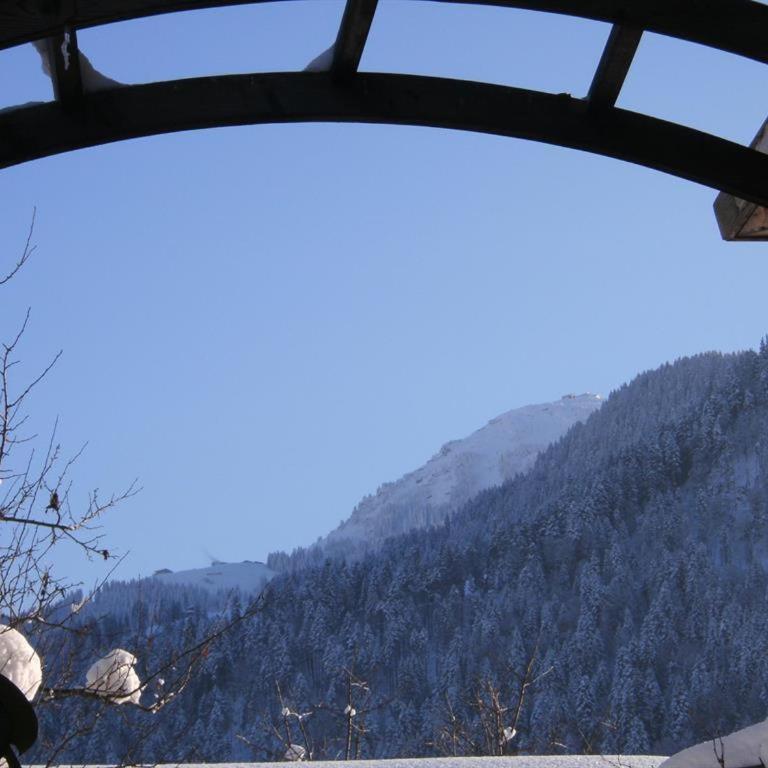 Appartement Wilder Kaiser, Anni Koller - Apartment mit 2 Schlafzimmern - 17