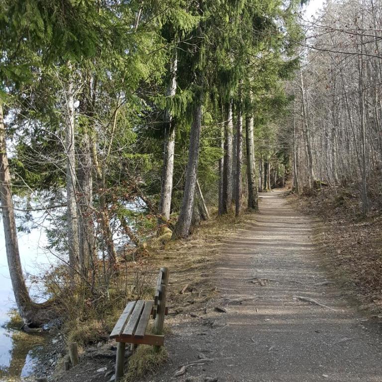 Fewo FRIADO im Ferienpark OA - ohne Zusatzkosten nach Anreise - mit Hallenbad, W-Lan, PKW-Garage, Kurtaxe mit Allgäu-Walser-Pass, Bett- und Handtuch-Wäsche sowie End-Reinigung - One-Bedroom Apartment - 9