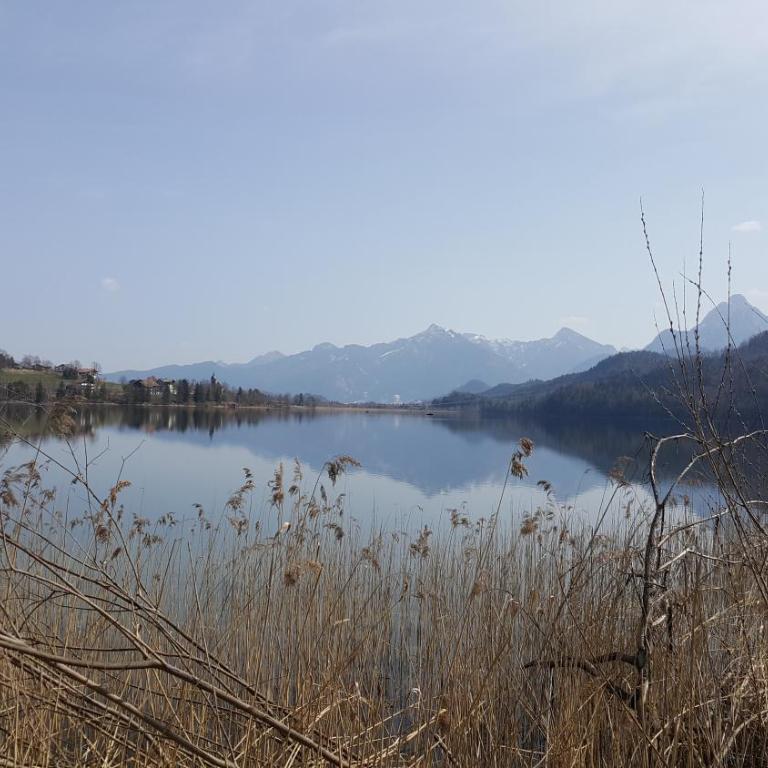 Fewo FRIADO im Ferienpark OA - ohne Zusatzkosten nach Anreise - mit Hallenbad, W-Lan, PKW-Garage, Kurtaxe mit Allgäu-Walser-Pass, Bett- und Handtuch-Wäsche sowie End-Reinigung - One-Bedroom Apartment - 10