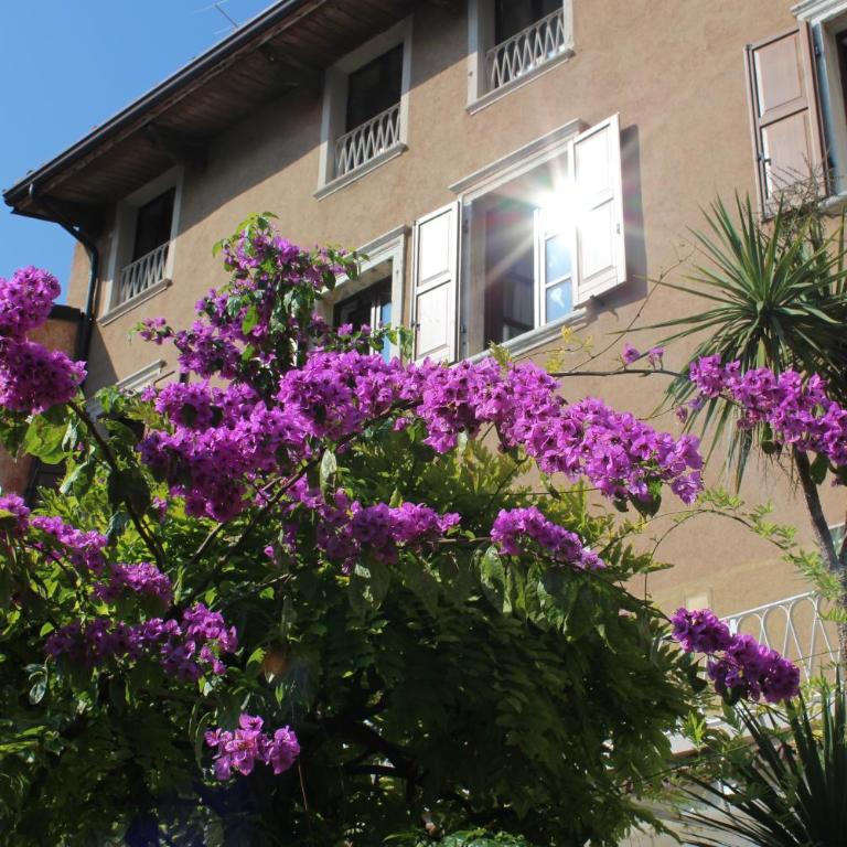 Albergo Bellavista - Camera Matrimoniale con Vista Lago - 22