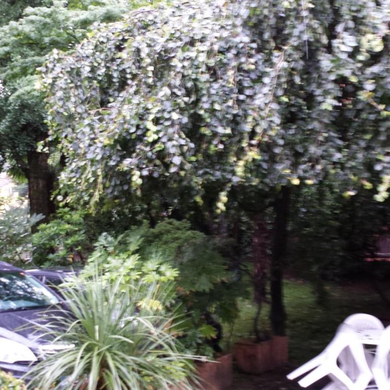 Bed & Breakfast Gli Oleandri - Camera Familiare (4 Adulti) - 11