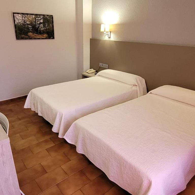 Hotel Meson de L’Ainsa - Habitación Doble con terraza - 1 o 2 camas - 41