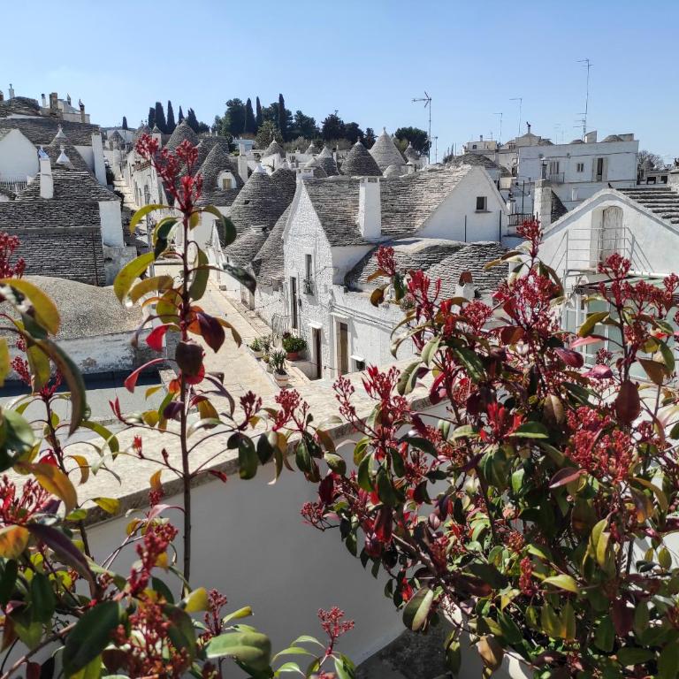 Noù la tua casa in Puglia - Camera Matrimoniale con Vista Parco - 2