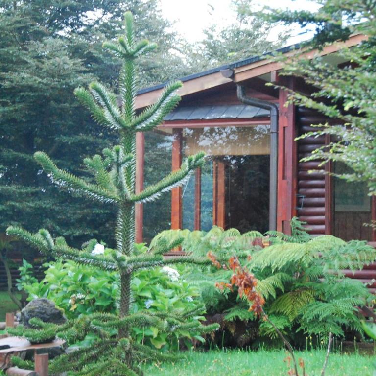 Rio Maullin Lodge - Bungalow (4 Adults) - 3