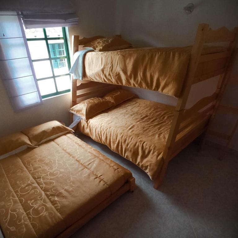 H-OSTELLO LA MERIDIANA - Cama individual en habitación compartida - 4