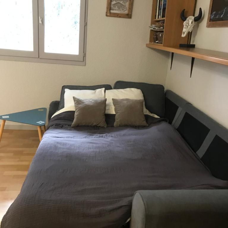 Appartement chamonix face au mont blanc - Studio - 12