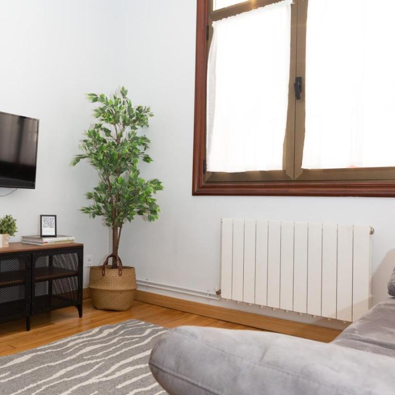 Aresti Old Town by Bilbao Living - Two-Bedroom Apartment - 50