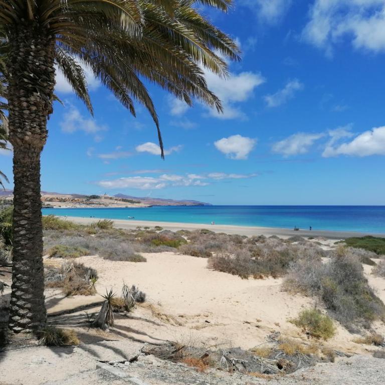 Fisherman s Cove - Apartamento con terraza - 18
