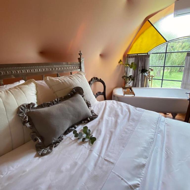 Don Aniceto Lodges & Glamping - Deluxe Double Room with Bath - 6