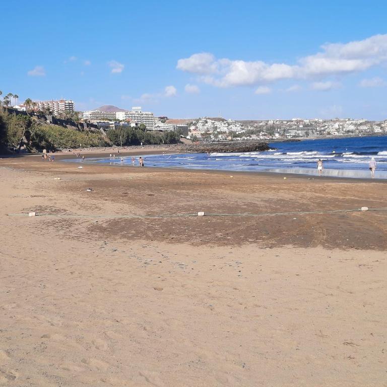 Playa del Inglés Céntrico Los Molinos 135 - Apartamento de 1 dormitorio - 16