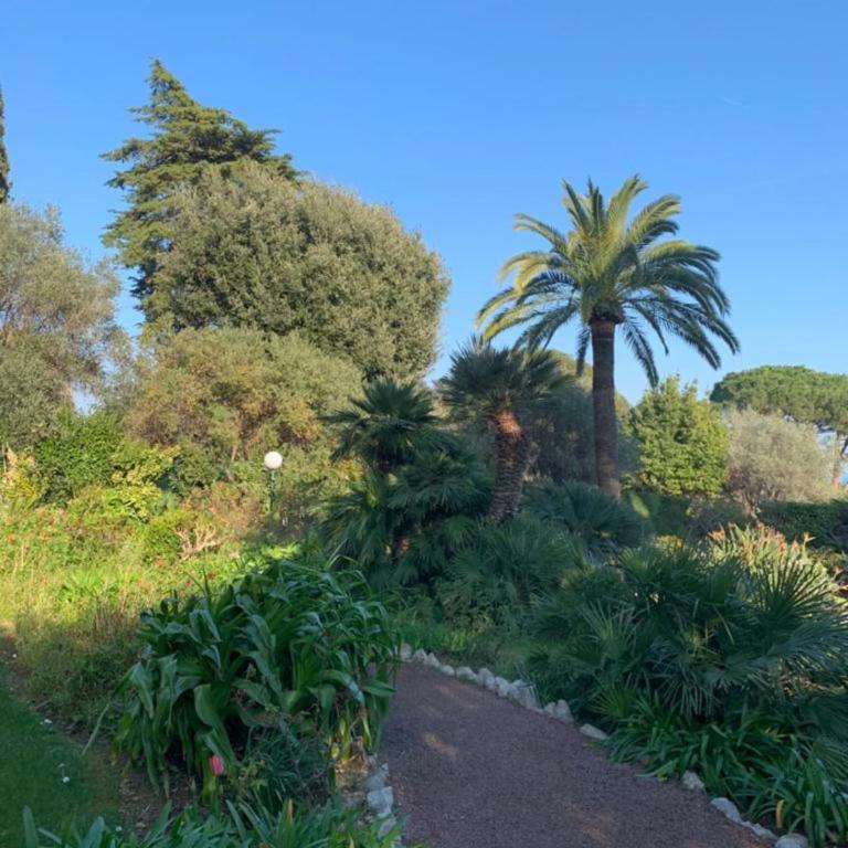Studio with a panoramic view at the top floor of a residence with a pool - Appartement - 10
