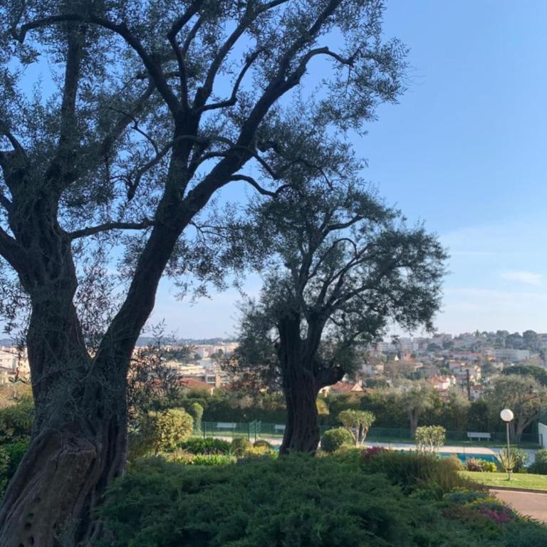 Studio with a panoramic view at the top floor of a residence with a pool - Appartement - 12