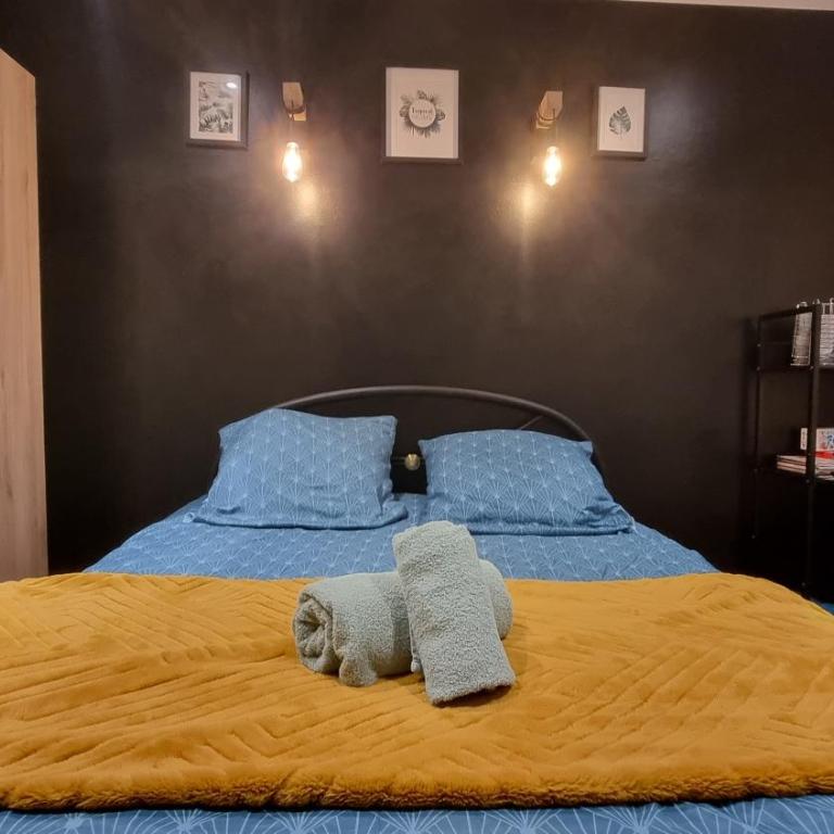 SLEEP IN COLMAR - Parking - Centre - Monolocale - 16