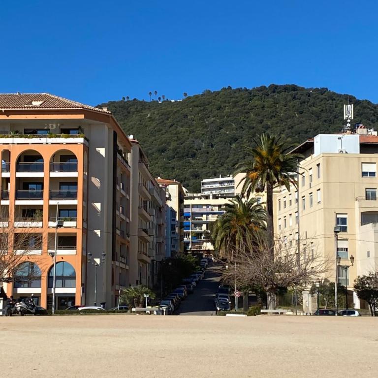 2 pièces / neuf - Ajaccio centre - Place Miot / Albert 1er - Appartement 1 Chambre - 20