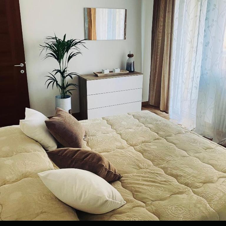 Giada Apartment Verona - Appartamento con 1 Camera da Letto - 7
