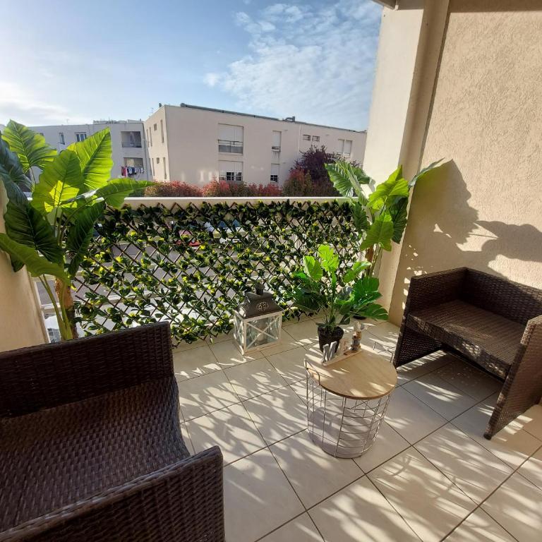 Le Totem - Appartement 1 Chambre - 6