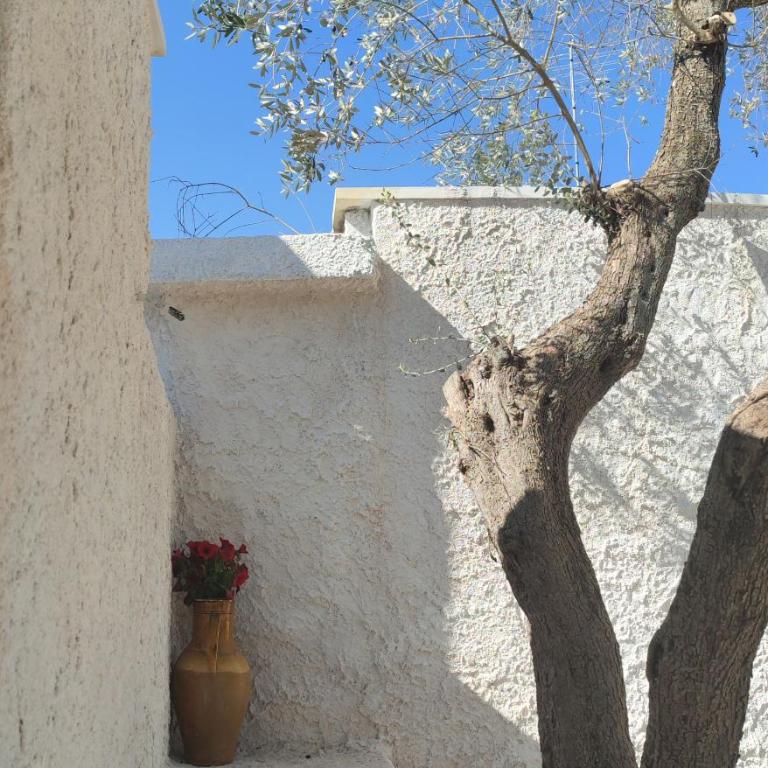Casedda Ostunese - One-Bedroom Apartment - 57