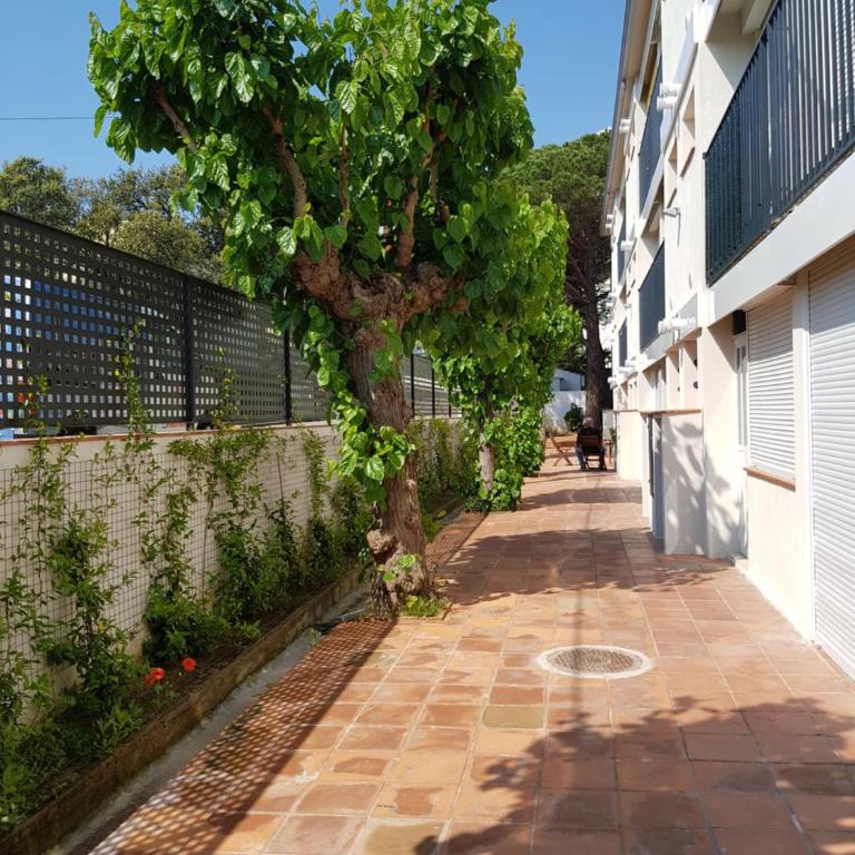 Apt con piscina en Calella de Palafrugell, parking gratuito - Apartamento de 1 dormitorio - 31