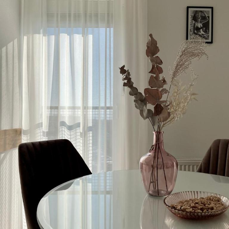 Diana apartment Banja Luka - Apartman sa 1 Spavaćom Sobom - 13