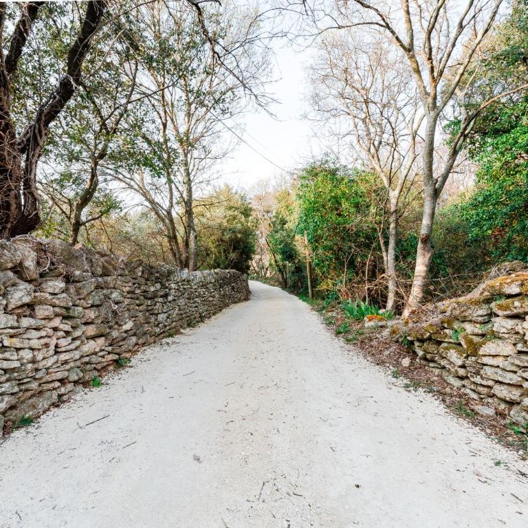 Belle De Jour -A Provencal gem Private heated pool - Maison de Vacances - 49