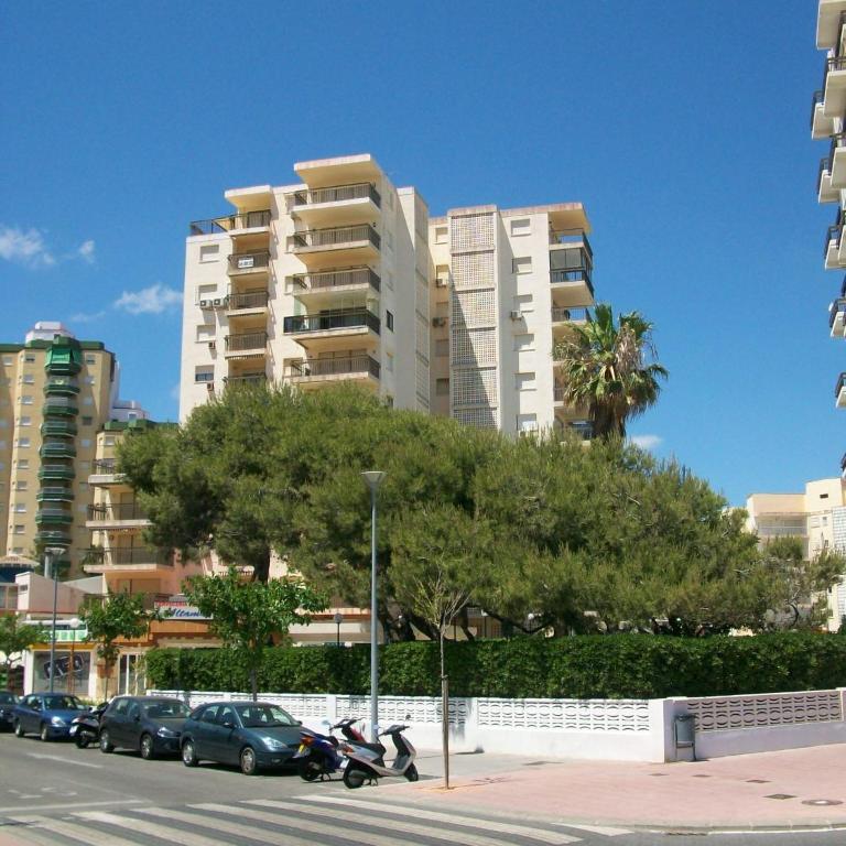 MANILA GANDIA - Alquiler solo familias - Apartamento de 3 dormitorios - 8
