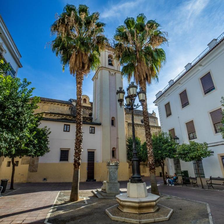 Apartamento céntrico en Plaza San Miguel - Apartamento de 1 dormitorio - 5